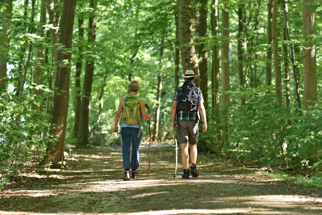 Durch den Wald